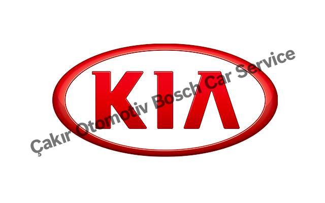 Kayseri Kia Servisi