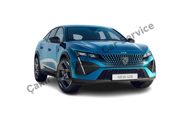 Kayseri Peugeot Servisi