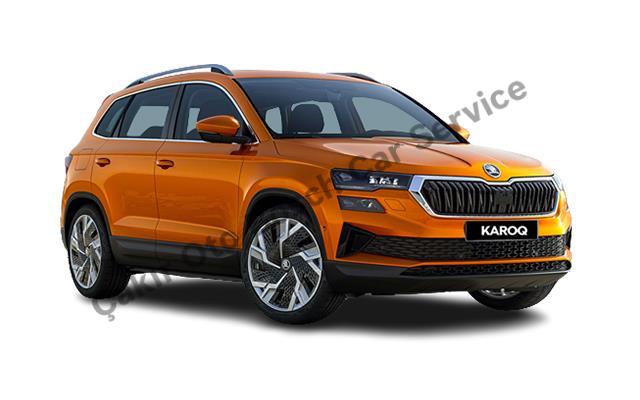 Kayseri Skoda Servisi